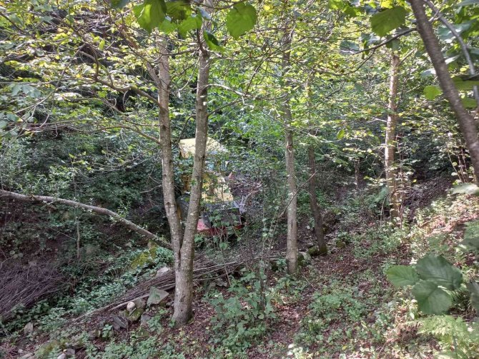 Ordu’da İş Makinesi Şarampole Devrildi: 1 Ölü