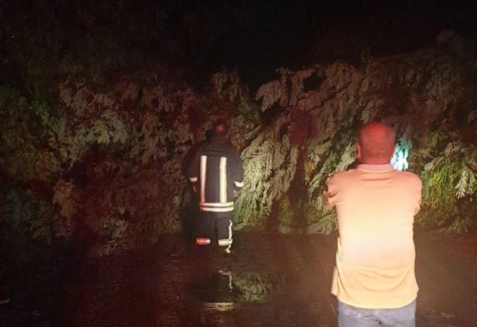 Şiddetli Rüzgarda Ağaçlar Yola Devrildi