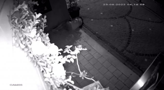 Fatih’te Gece Vakti Kafeye Giren Şüphelinin Sergilediği İlginç Hareketleri Kamerada