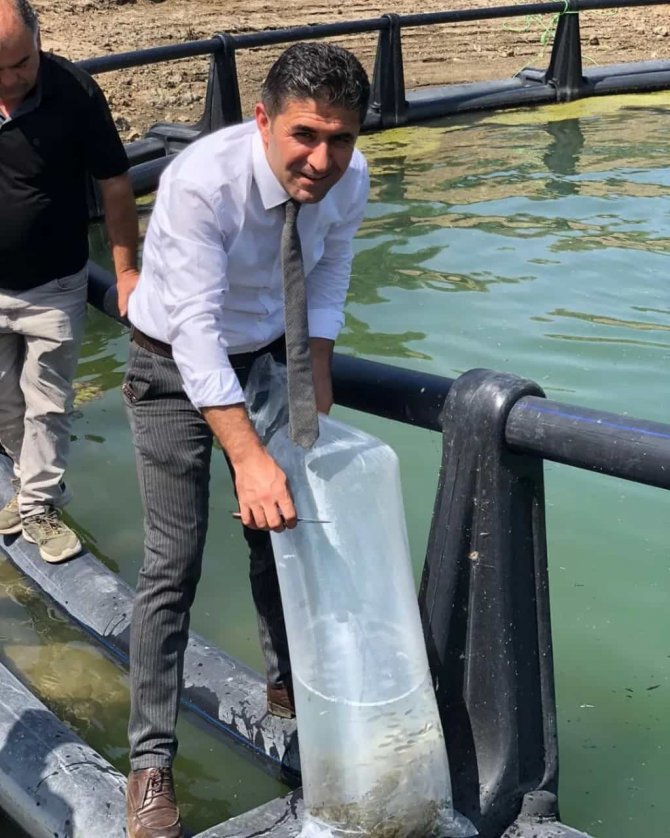 Alpu Barajına 100 Bin Sazan Bırakıldı