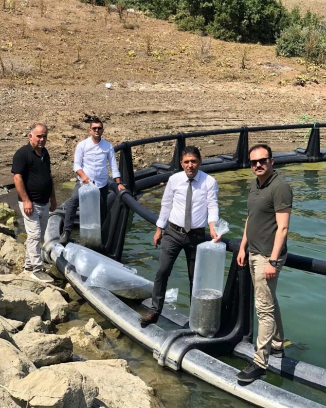 Alpu Barajına 100 Bin Sazan Bırakıldı