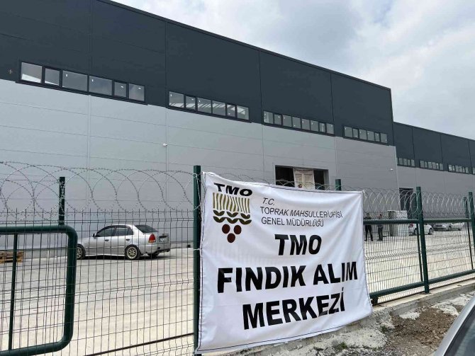 Tmo Düzce’de Fındık Alımına Başladı