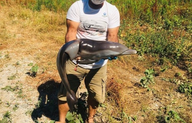 Ege Sahillerinde Bırakılan Çöpler Doğayı Kirletiyor