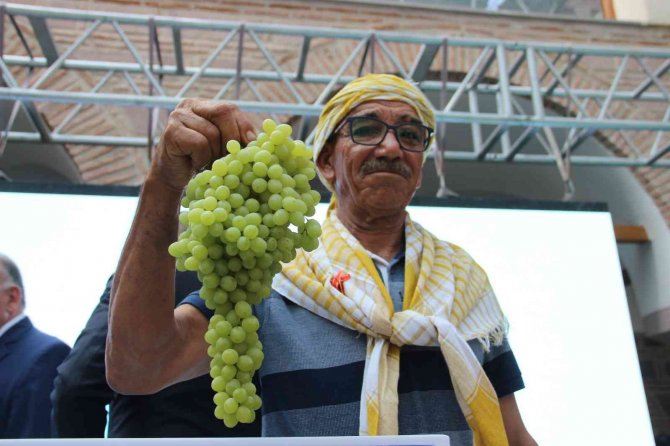 Sezonun İlk Kuru Üzümüne Rekor Fiyat