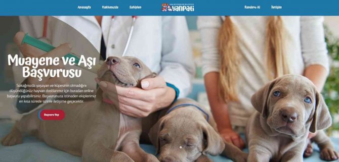 Vanpati İle Sokak Hayvanları Sahiplenme Dönemi Başladı