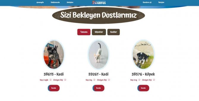 Vanpati İle Sokak Hayvanları Sahiplenme Dönemi Başladı