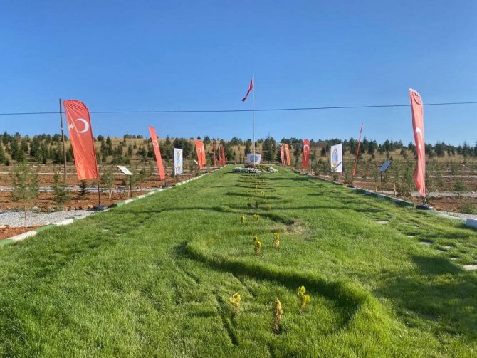 Altıntaş’a Şehitler Ormanı