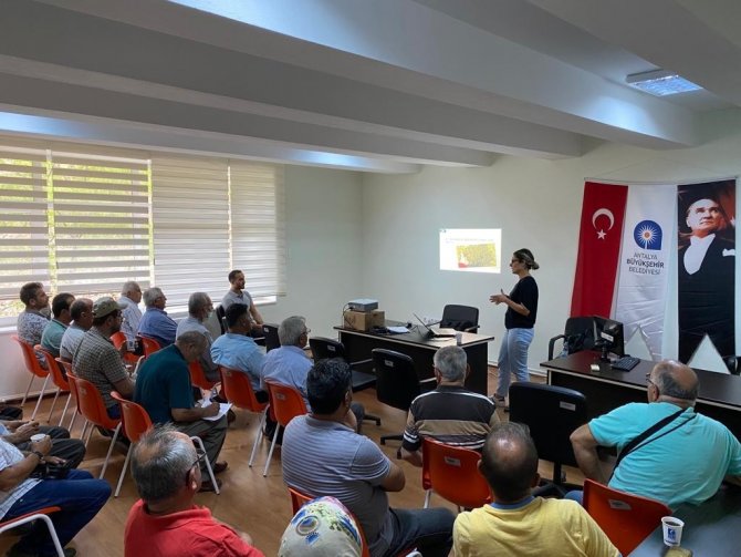 Büyükşehir’den Aksekili Üreticilere Destek