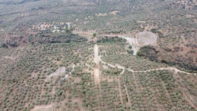 Nysa’nın Sütunlu Caddesinde Heyecanlandıran Keşif