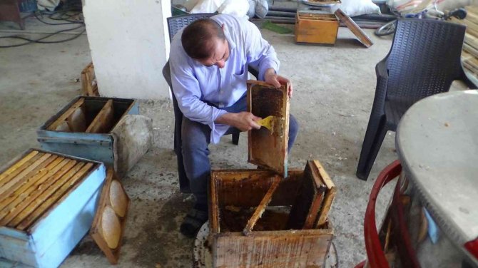 Batman’da Kara Kovan Bal Üreticileri Hasada Başladı