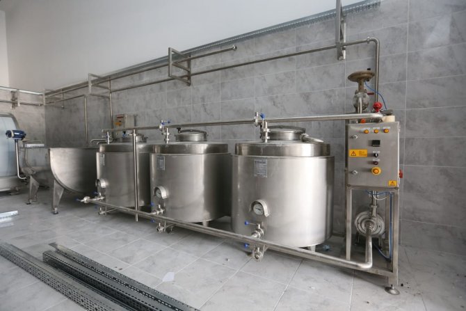 Türkiye Pazarına Girmesi Hedeflenen Aspirin Hasadı Yapıldı