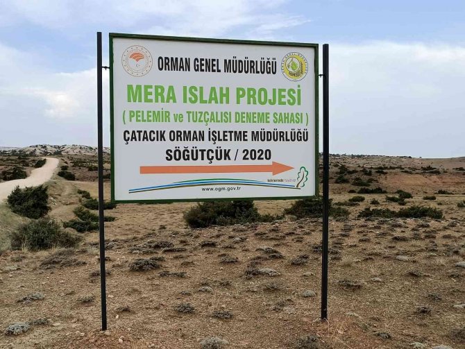 Tuz Çalısı Ve Bozkır Otu Deneme Sahası Projesi Yerinde İncelendi