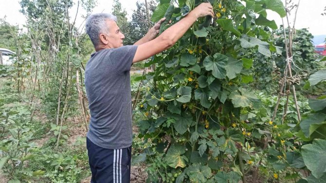 Milyonluk Binaların Arasına Hobi Bahçesi Kurdu, Kışlık İhtiyacını Karşılıyor