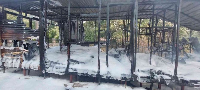 Fethiye’de Bungalov Ev, Alev Alev Yandı