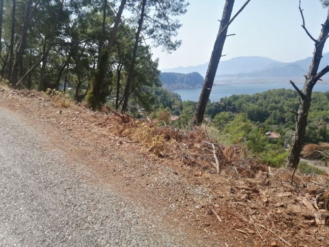 Yol Kenarındaki Kurumuş Ağaç Parçaları Yangına Davetiye Çıkartıyor