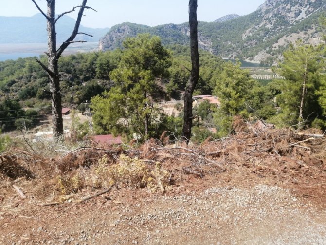 Yol Kenarındaki Kurumuş Ağaç Parçaları Yangına Davetiye Çıkartıyor