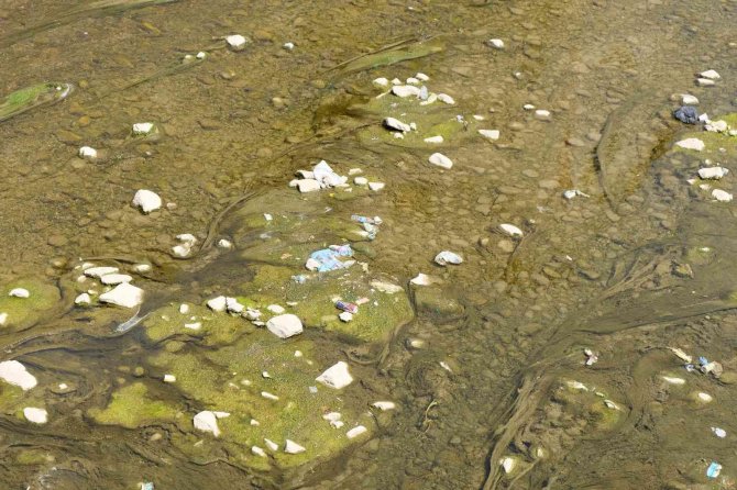 Suları Çekilince Harşit Çayı Çöplüğe Döndü
