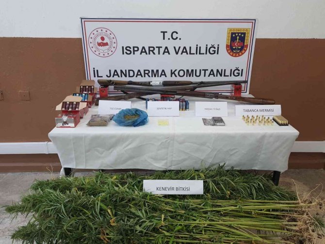 Yasa Dışı Kenevir Ekimi Yapan 2 Kişi Yakalandı