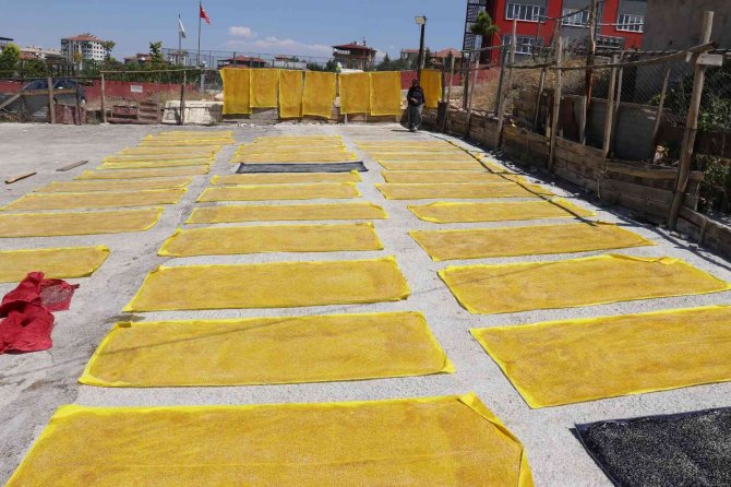 Malatya’nın Üreten Kadınları Buluştu