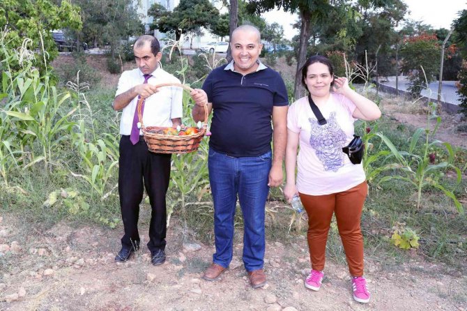 Üretmek, Engel Tanımıyor