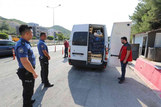 Muğla’da Avlanması Yasak Olan 3 Adet Mavi Yüzgeçli Orkinos Balığı Ele Geçirildi