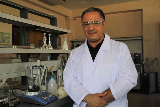 Deniz Marulundan Hidrojen Ürettiler