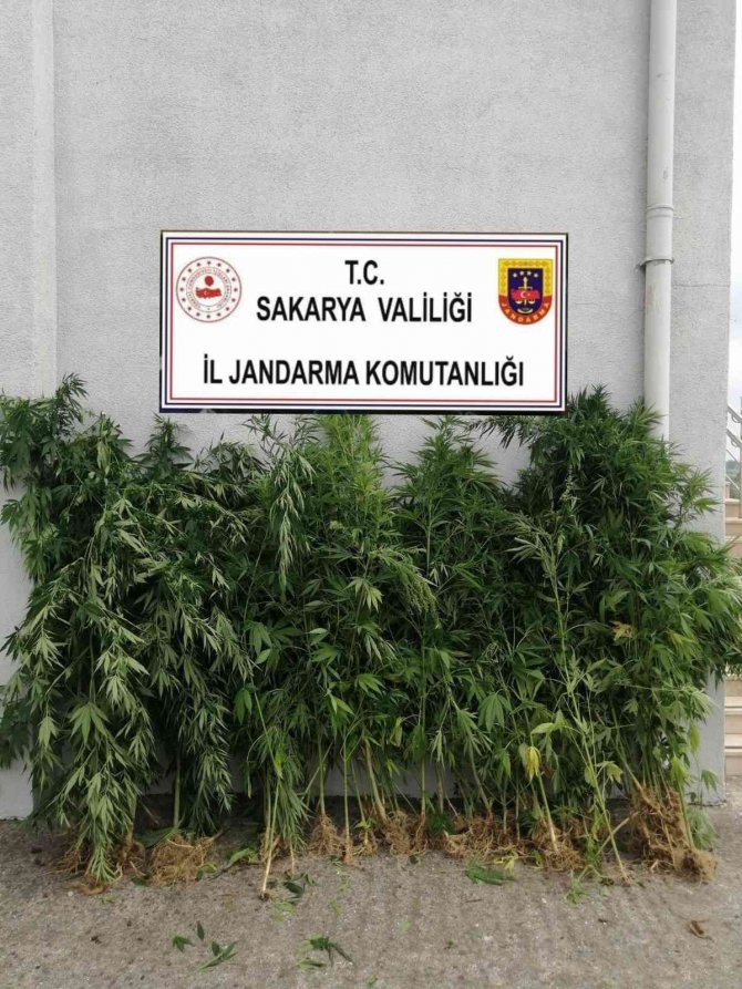 Uyuşturucu Tacirlerine Jandarma Engeli: 5 Gözaltı