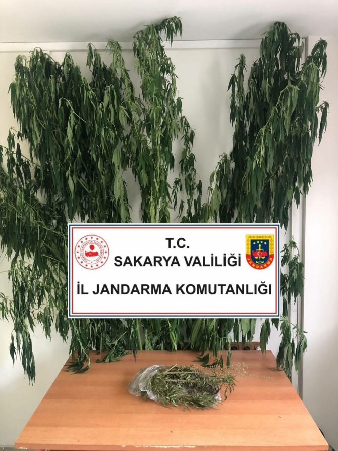 Uyuşturucu Tacirlerine Jandarma Engeli: 5 Gözaltı