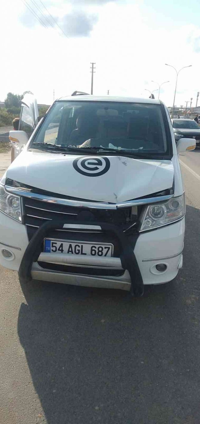 Hafif Ticari Aracın Çarptığı Kadın, 2 Gün Sonra Hastanede Hayatını Kaybetti