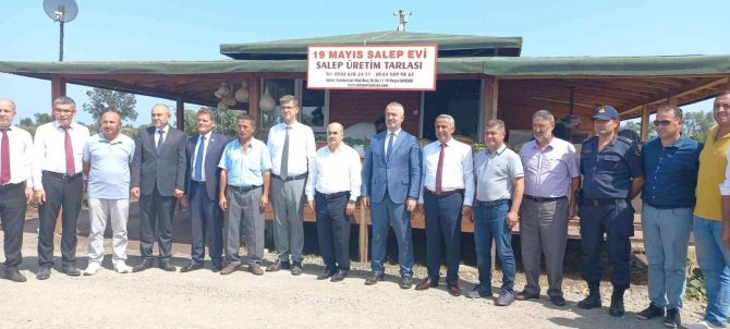 Samsun’da Fındık Hasat Etkinliği: 112 Bin 500 Ton Rekolte Bekleniyor