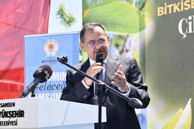 Samsun’da Çilek Üretimi Artıyor