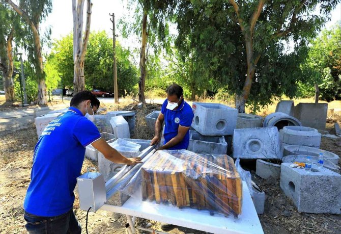 Bal Petekleri Eksi 30 Derecede Şoklanıyor