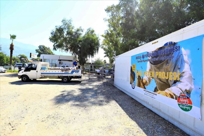 Bal Petekleri Eksi 30 Derecede Şoklanıyor