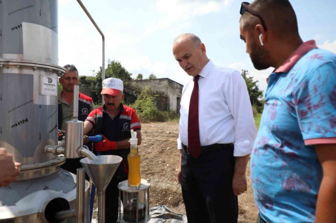 Tıbbi Aromatik Bitkiler Ekonomiye Kazandırılıyor