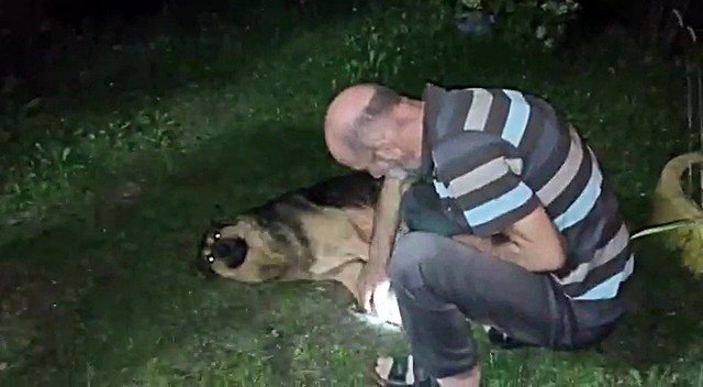 Çocukların Gözü Önünde Köpeği Vurdu