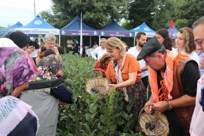 "Süper Meyve" Aronyada Hasat Mutluluğu