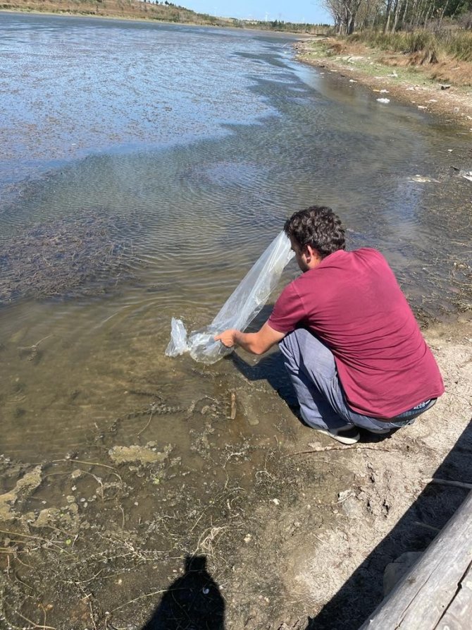 Ergene’deki Göletlere Balık Bırakıldı