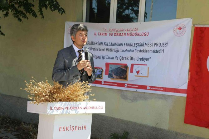 Eskişehir’de ‘İ̇yi Tarım Sertifikalı’ Çörekotu Üretildi