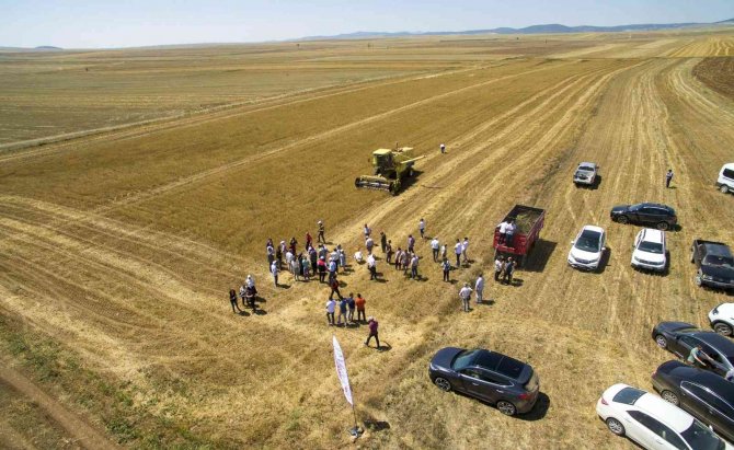 Eskişehir’de ‘İ̇yi Tarım Sertifikalı’ Çörekotu Üretildi