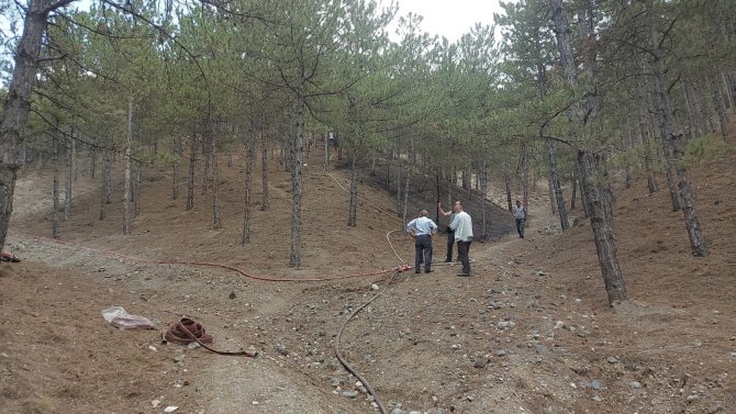 Tosya Gavur Dağ Bölgesinde Orman Yangını