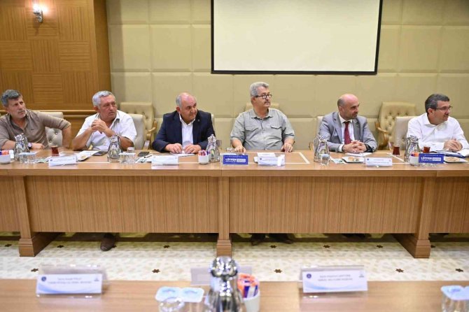 Kraliçe İnciri İçin Bursa Büyükşehir Devrede