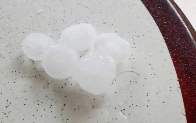 Kütahya’nın Tavşanlı İlçesinde Ceviz Büyüklüğünde Dolu Yağdı