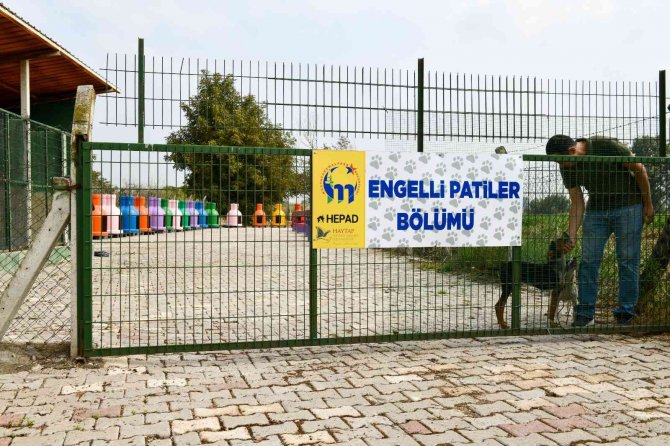 Mustafakemalpaşa Hayvan Barınağı’nda ’Engelli Hayvan Birimi’ Açıldı