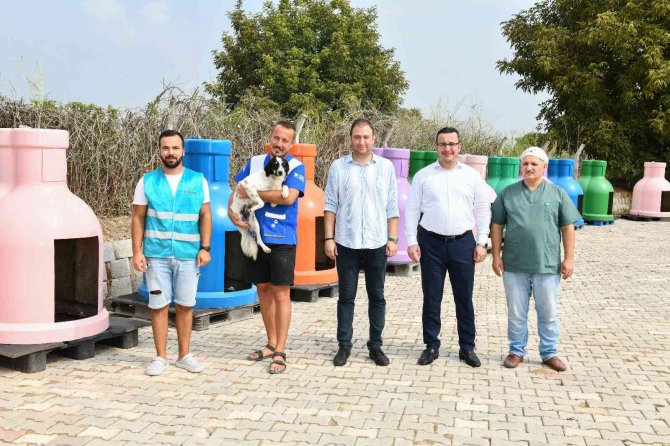 Mustafakemalpaşa Hayvan Barınağı’nda ’Engelli Hayvan Birimi’ Açıldı