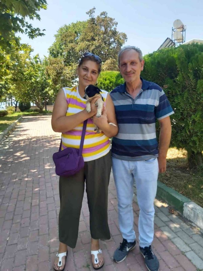 Osmangazi’de 3 Can Dosta Sıcak Yuva