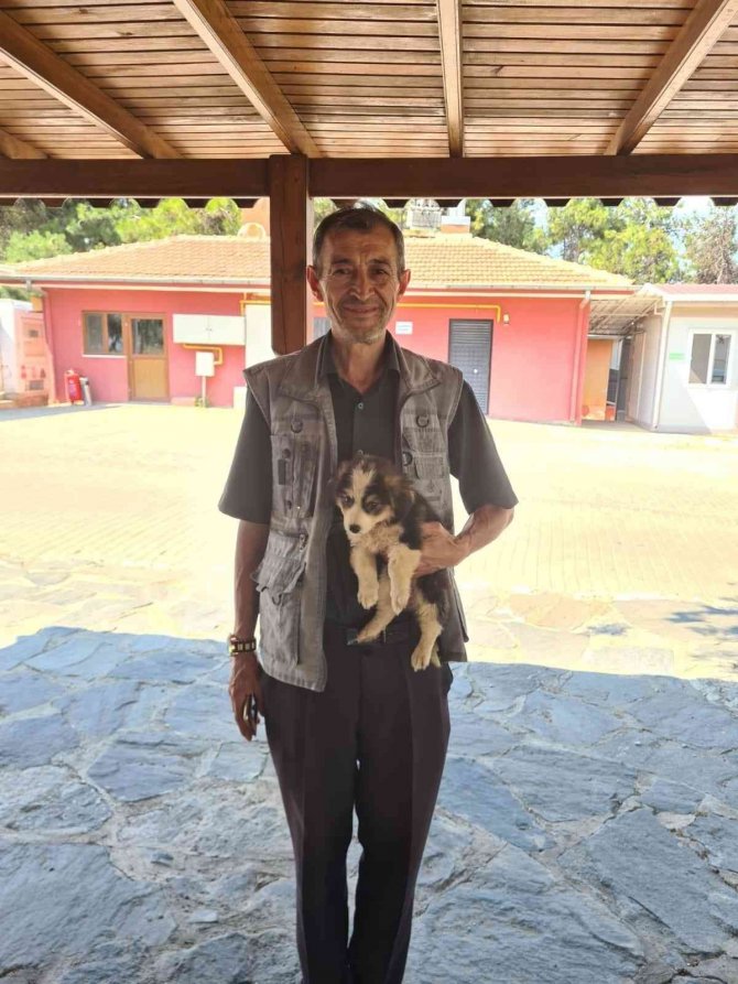 Osmangazi’de 3 Can Dosta Sıcak Yuva