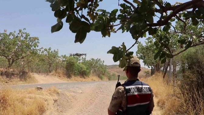 Emek Hırsızlarına Karşı Jandarma Nöbette