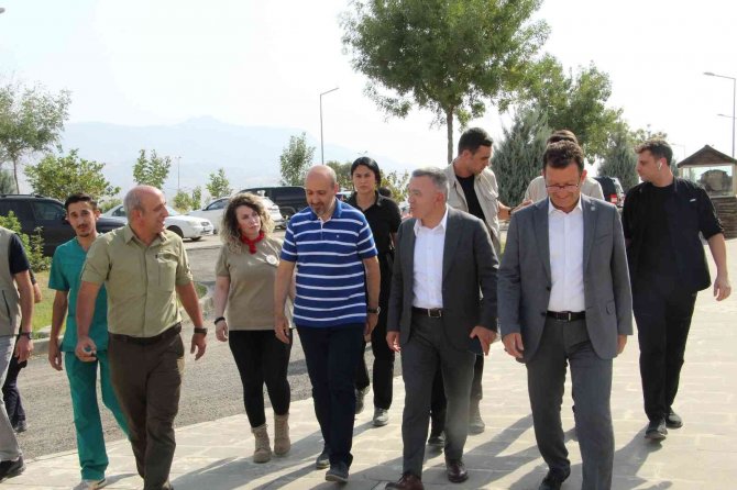 Şırnak’ta 5 Yılda 249 Tür Yaban Hayvanı Tedavi Edildi