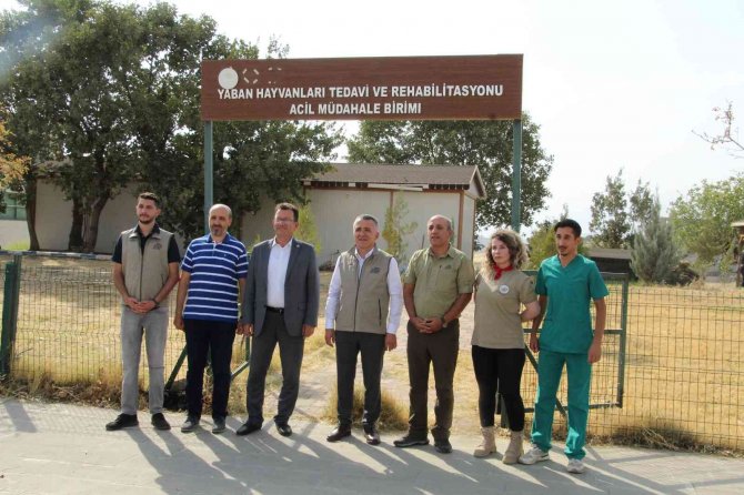 Şırnak’ta 5 Yılda 249 Tür Yaban Hayvanı Tedavi Edildi