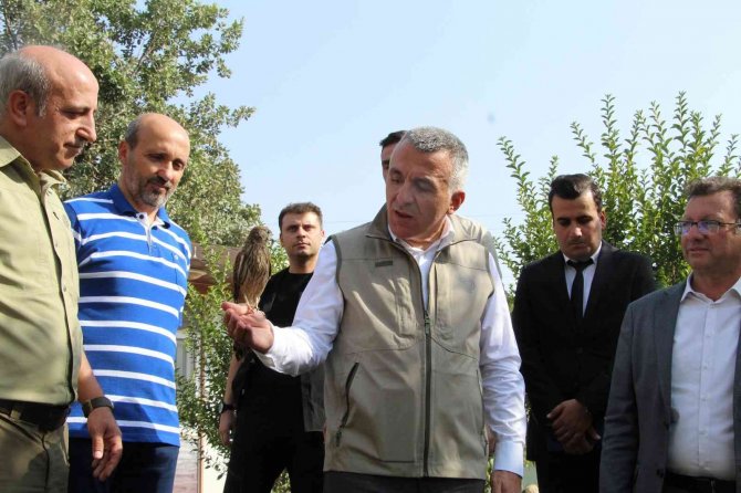 Şırnak’ta 5 Yılda 249 Tür Yaban Hayvanı Tedavi Edildi